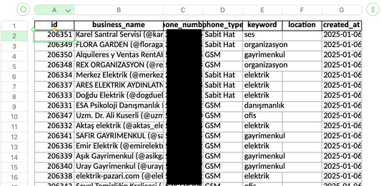168K Instagram İşletme Datası